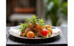 Modern Singapore guided tasting tours local experiences